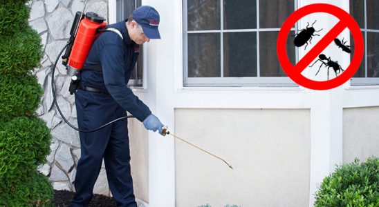 Afşin Kene İlaçlama böcek ilaçlama ve haşere kontrolü — ilaclama-tr.com
